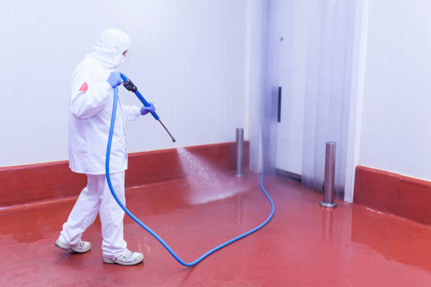 Best House Exterior Washing  in Pensacola, FL